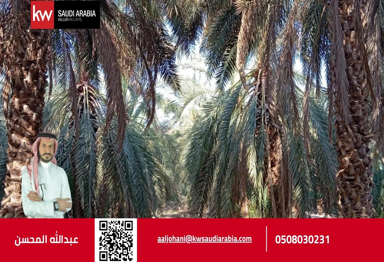 52284694 - الصورة الرئيسية للعقار