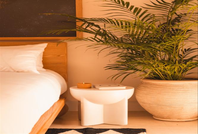 51114129 - Property Main Image