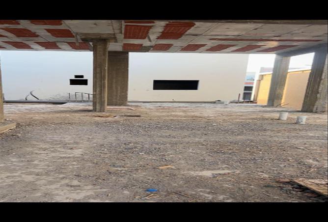51476772 - Property Image 3