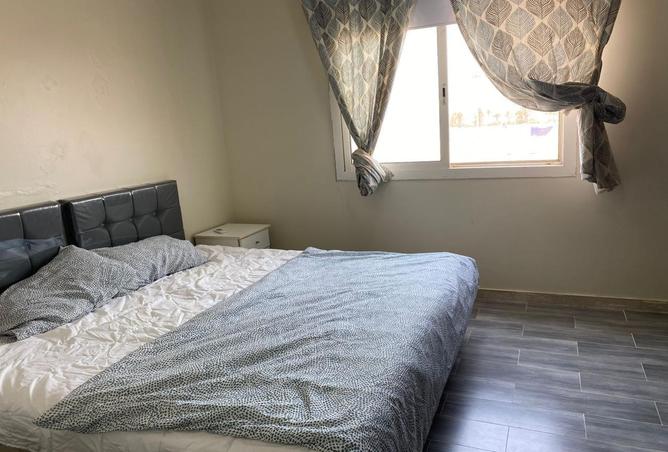 259558 - Property Image 3