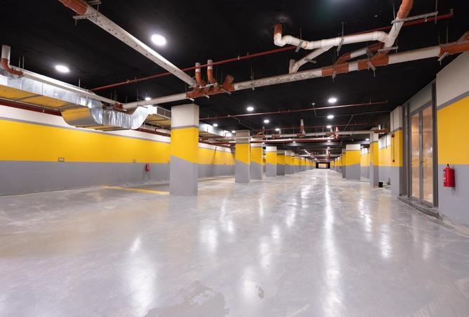 51600053 - Property Image 3