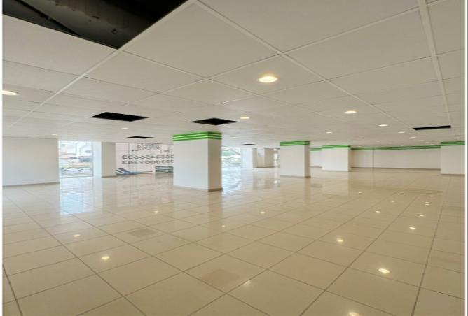 52007973 - Property Image 3