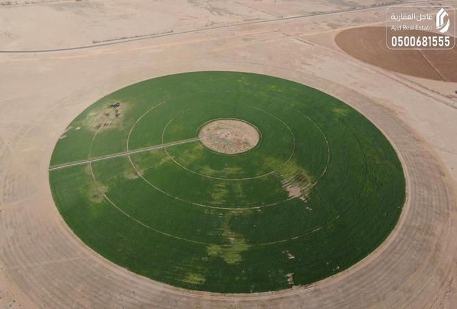 51257467 - الصورة الرئيسية للعقار