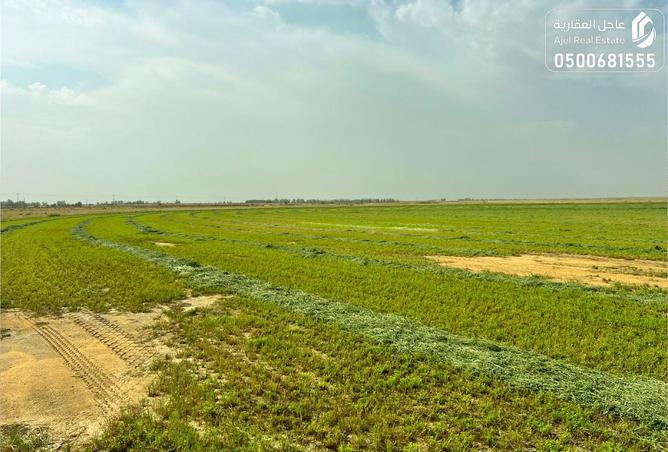 51257467 - صورة العقار 3