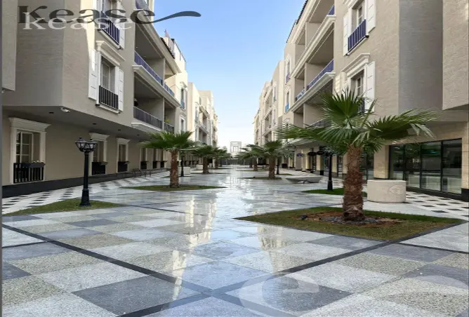 52168420 - Property Image 3