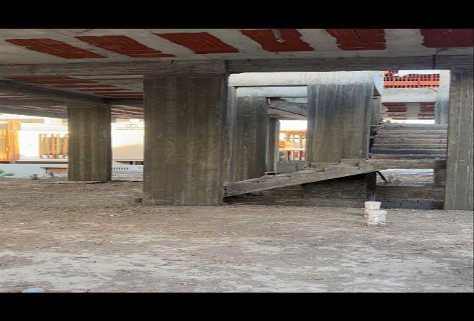 51590362 - Property Image 3