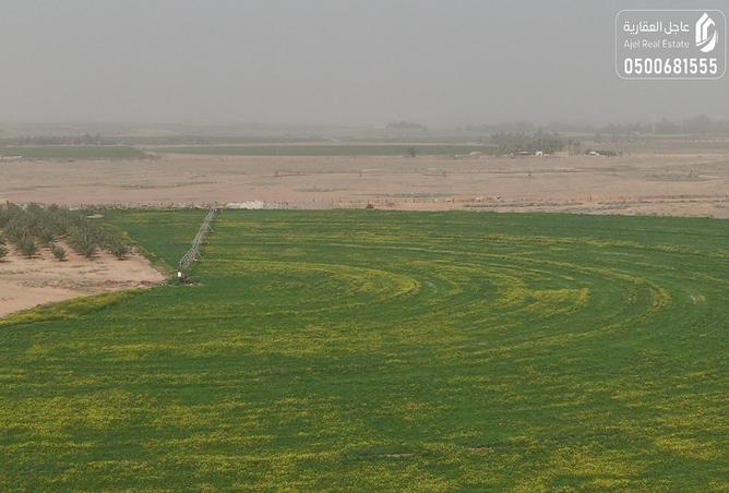 51032218 - الصورة الرئيسية للعقار