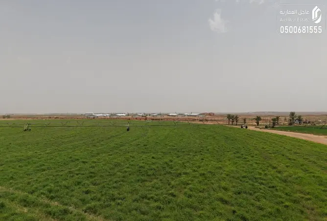 51471261 - صورة العقار 3