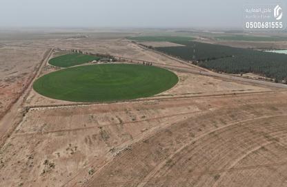 Farm - Studio for sale in Aldilfaeuh - Al Qassim