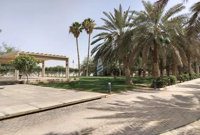 51605100 - صورة العقار 2