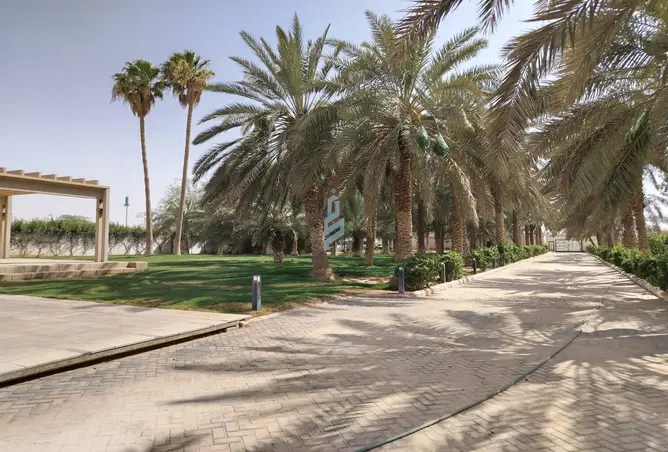 51605100 - صورة العقار 3