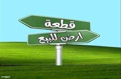 Land - Studio for sale in Al Wurud - Tabuk - Tabuk Land - Studio for sale in Al Wurud - Tabuk - Tabuk