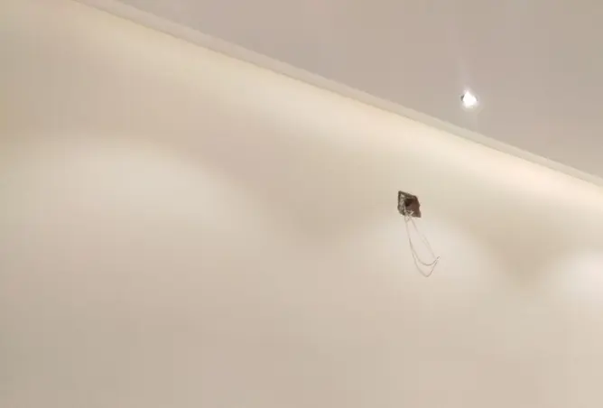 51836321 - Property Image 2