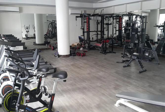 51827242 - Property Image 3