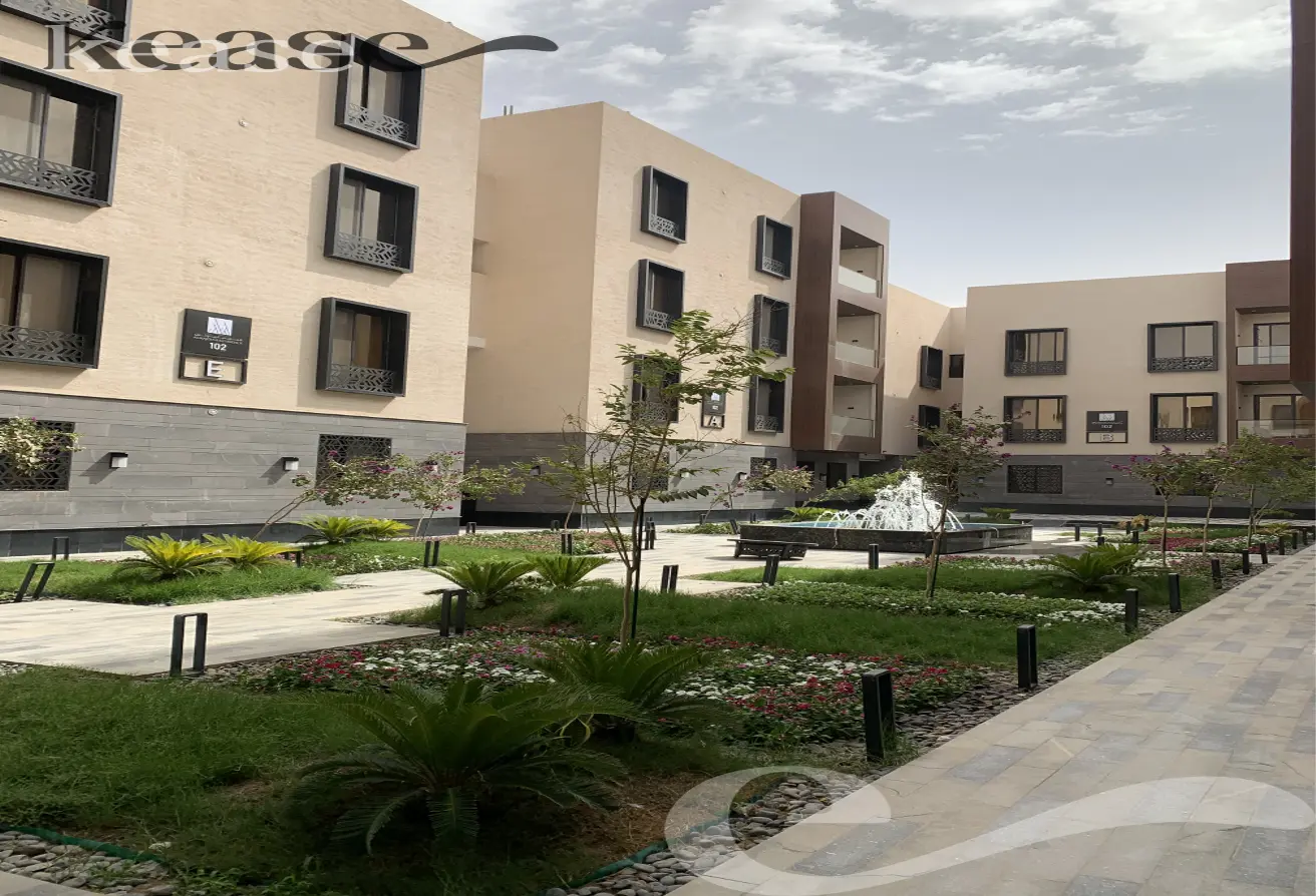 52213876 - Property Main Image