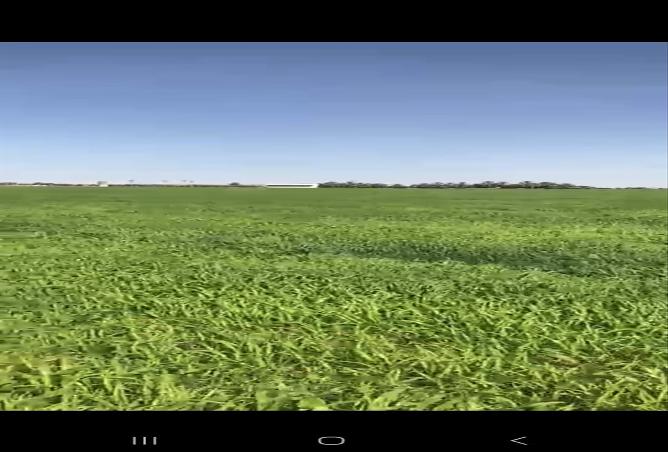 258507 - صورة العقار 2